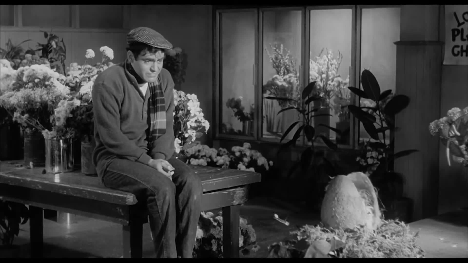 Old Time Movie Show - Little Shop of Horrors