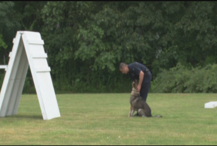 Thumbnail image for US Police Canine Assoc Field Trials