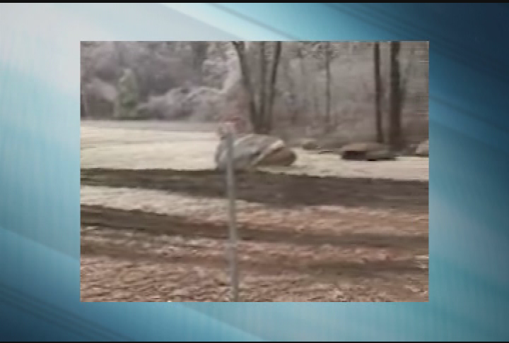 Thumbnail image for Ice Storm Dec 12, 2008