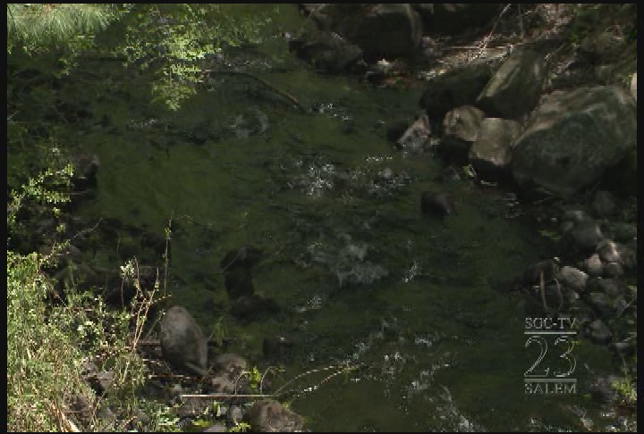 Thumbnail image for Bluff St  Bridge Update - May 17, 2013