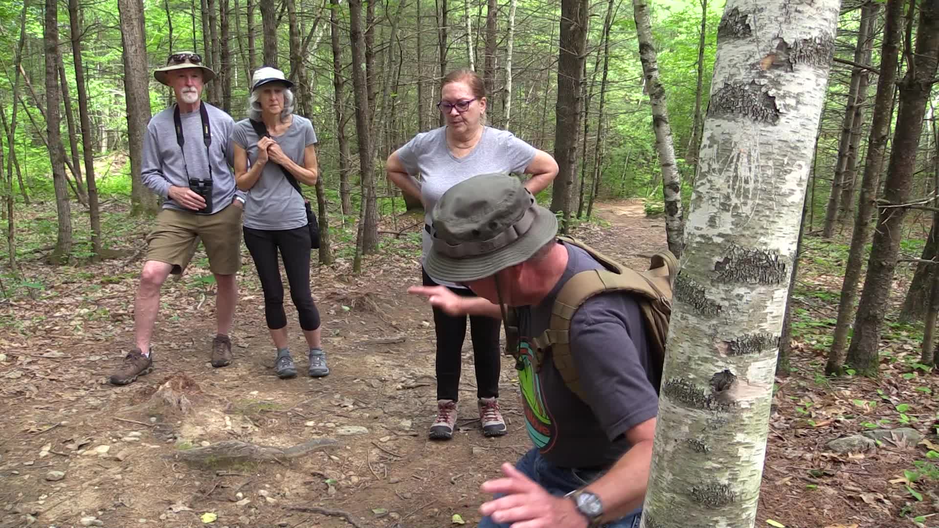 Nature Hikes with Dana Benner