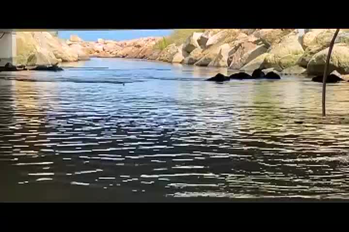 Kayaking in Massachusetts: Bartlett Pond