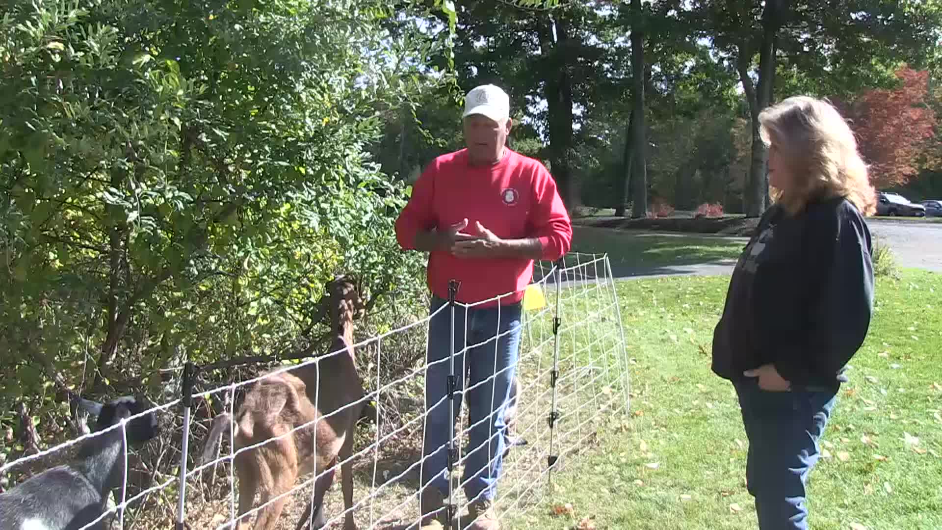 Around the Garden with Jimmy K