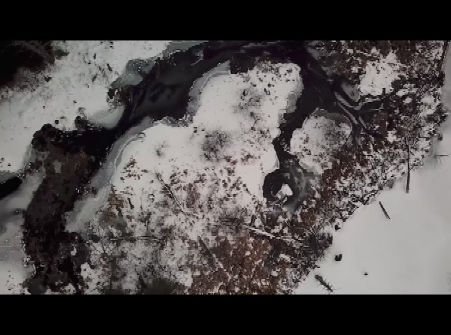 NH's WildSide -Snowmobile