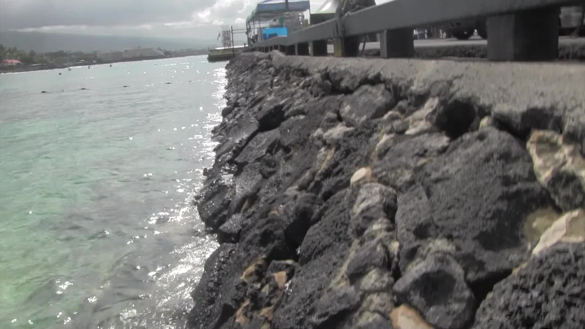 Thumbnail image for Around the Garden with Jimmy K