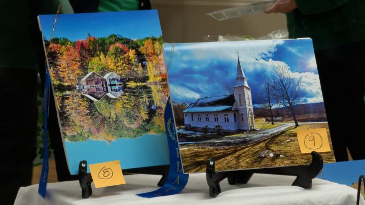 Thumbnail image for Salem Area Women's Club- Photo Contest & Education/Libraries Update