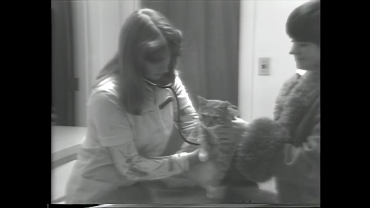 Thumbnail image for History on Tape - Salem Animal Hospital