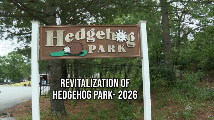 Thumbnail image for Revitalization Hedgehog Park -2026