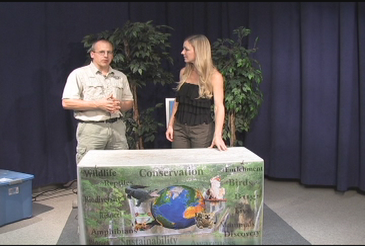 Wildlife Encounters